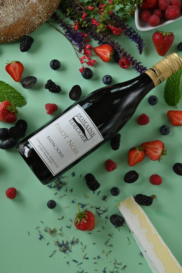 Domaine Edegger - Organic Winery Badacsony Aparthotel Badacsonytomaj Luaran gambar